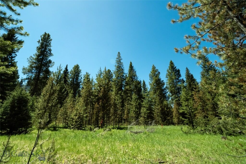 Big Sky MT 59730 - 7