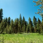 Big Sky MT 59730 - 7