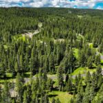 775 Colters Run Loop