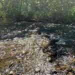 Bozeman MT 59715 - 1