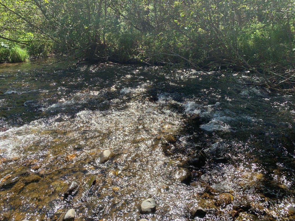 Bozeman MT 59715 - 1