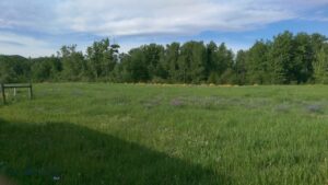 779 Cayuse Trail, Bozeman MT 59715