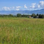 Bozeman MT 59715 - 1