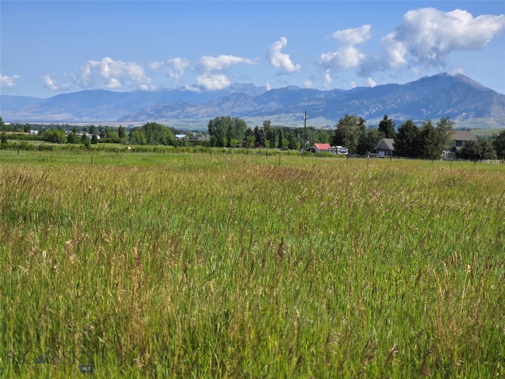 Bozeman MT 59715 - 1