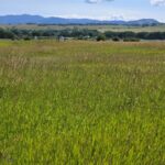 8050 S Leverich Road