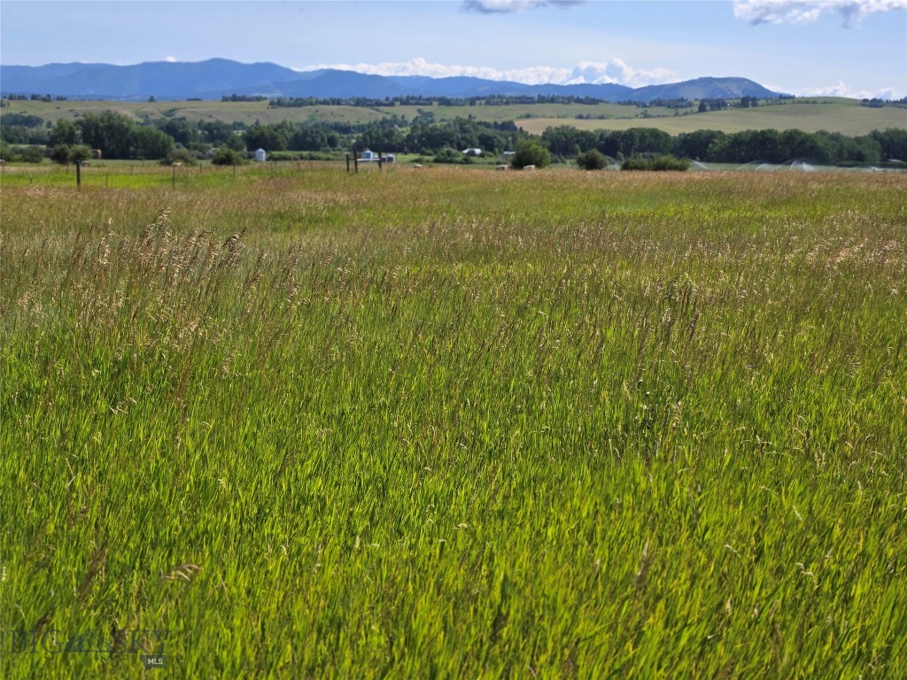 8050 S Leverich Road