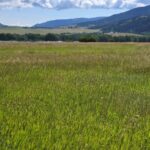 Bozeman MT 59715 - 6