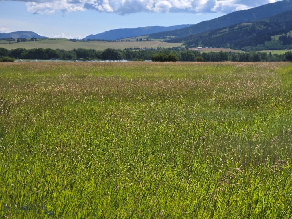 Bozeman MT 59715 - 6