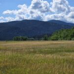 Bozeman MT 59715 - 7