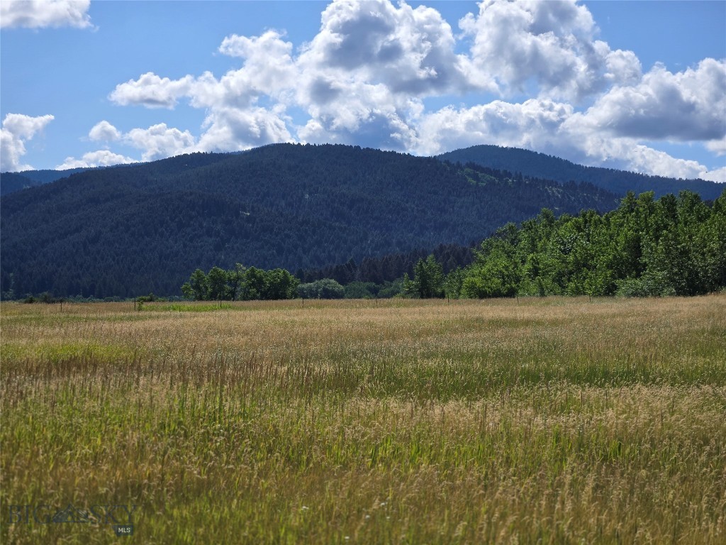 Bozeman MT 59715 - 7