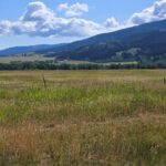 8050 S Leverich Road