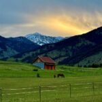 Bozeman MT 59715 - 6