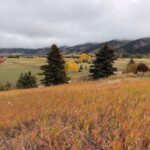 Bozeman MT 59715 - 7