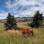 Bozeman MT 59715 - 8