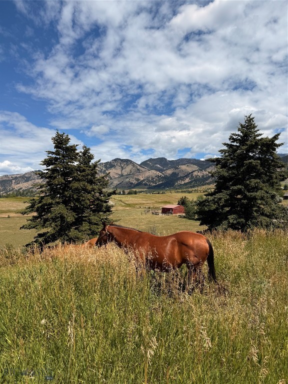 Bozeman MT 59715 - 8