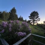Bozeman MT 59715 - 14