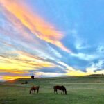 Bozeman MT 59715 - 2
