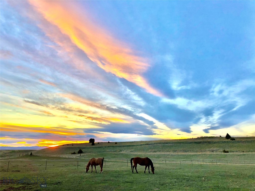 Bozeman MT 59715 - 2