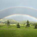 Bozeman MT 59715 - 3