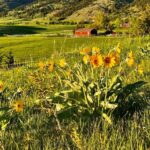 Bozeman MT 59715 - 5
