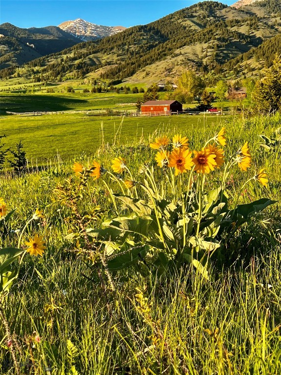 Bozeman MT 59715 - 5