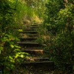 8480 Gooch Hill Road