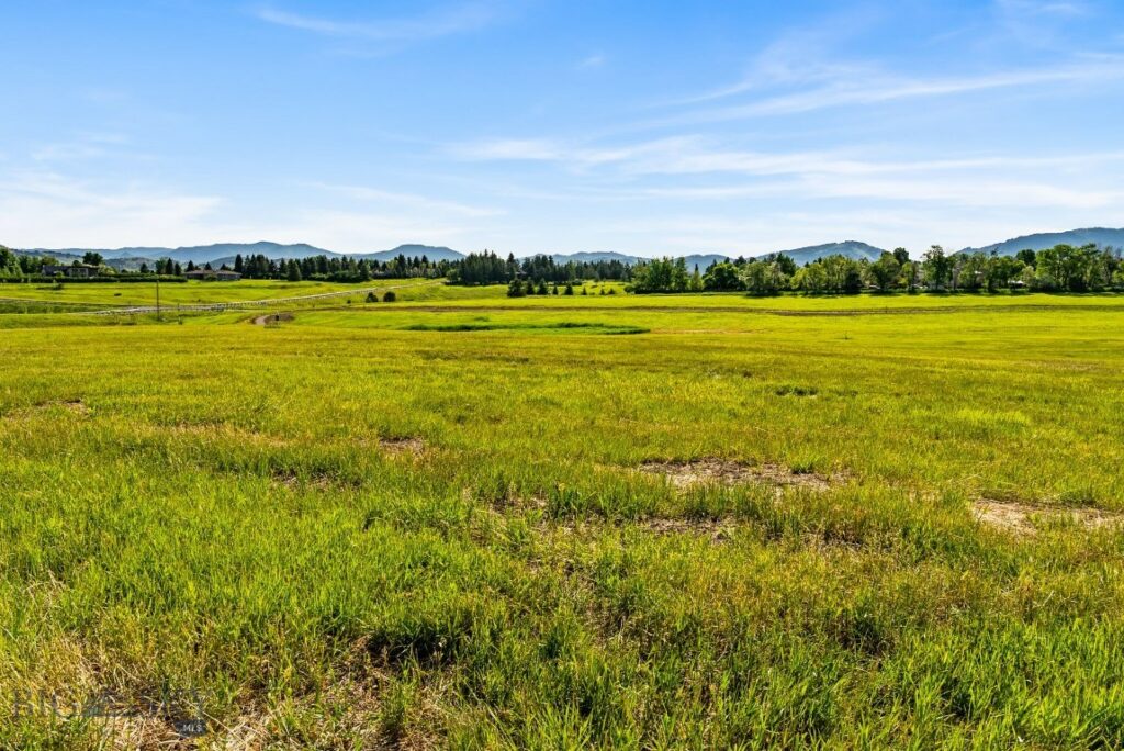 Bozeman MT 59718 - 2