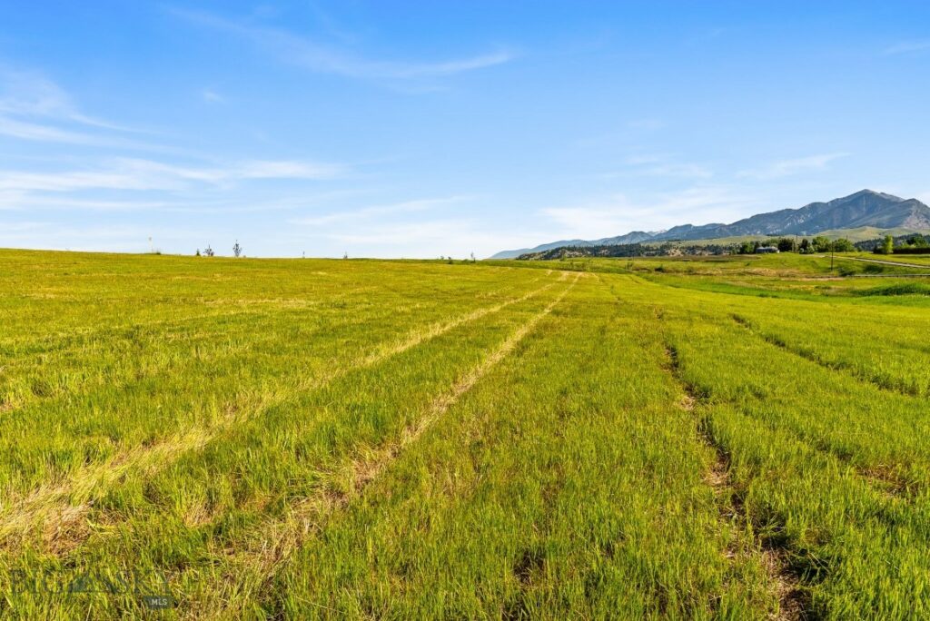 Bozeman MT 59718 - 3