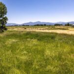 Bozeman MT 59718 - 3