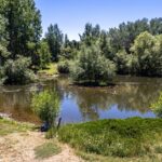 Bozeman MT 59718 - 5