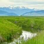 Bozeman MT 59718 - 2