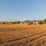 Belgrade MT 59714 - 5