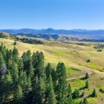 Bozeman MT 59715 - 1