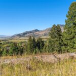 Bozeman MT 59715 - 7