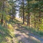 Bozeman MT 59715 - 8