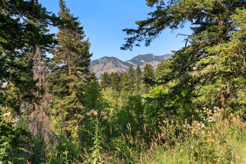 Bozeman MT 59715 - 9