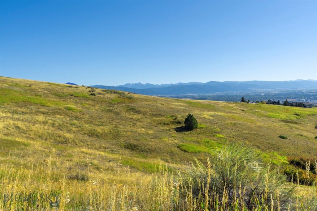 Bozeman MT 59715 - 10