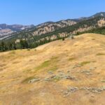 Bozeman MT 59715 - 18