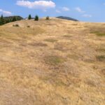 Bozeman MT 59715 - 21