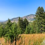 Bozeman MT 59715 - 22