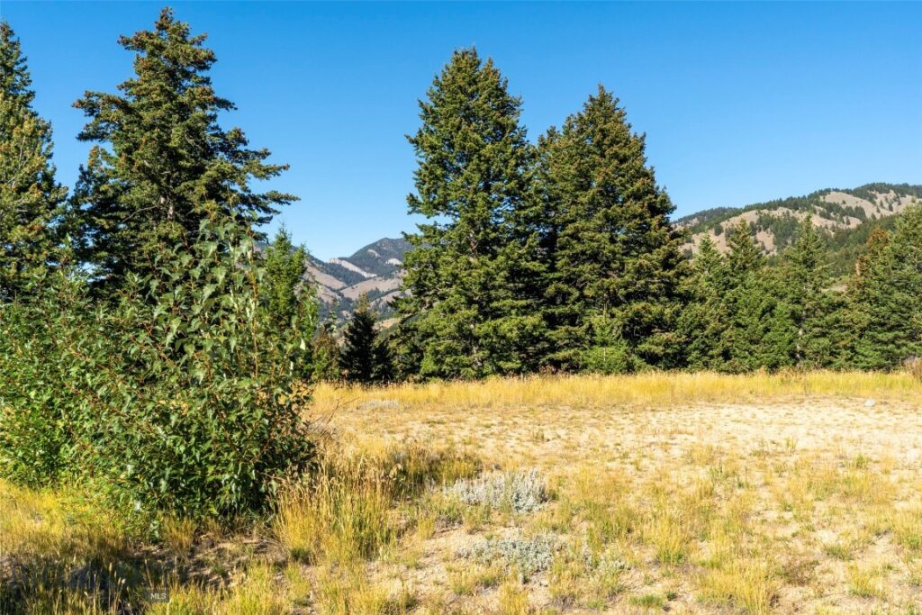 Bozeman MT 59715 - 4