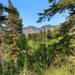 Bozeman MT 59715 - 9