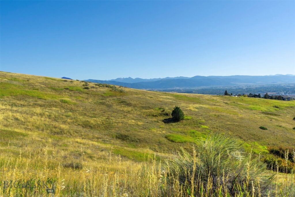 Bozeman MT 59715 - 10