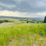 Bozeman MT 59715 - 15