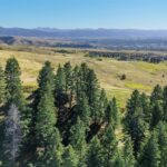 Bozeman MT 59715 - 23