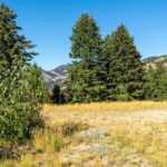 Bozeman MT 59715 - 4