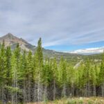 Big Sky MT 59716 - 2