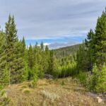 Big Sky MT 59716 - 3