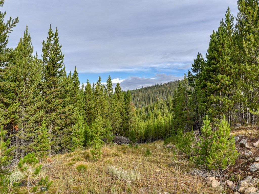 Big Sky MT 59716 - 3