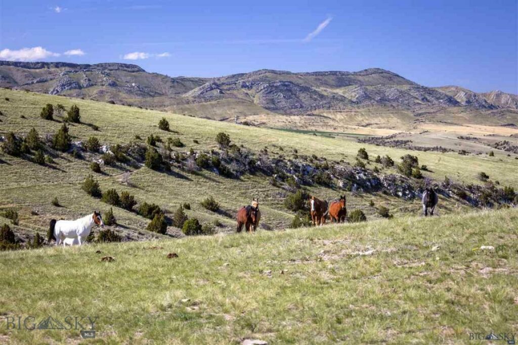 Three Forks MT 59752 - 6